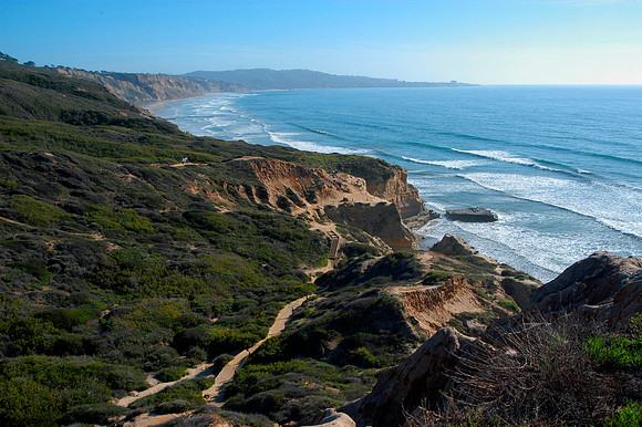 torrey 8.jpg