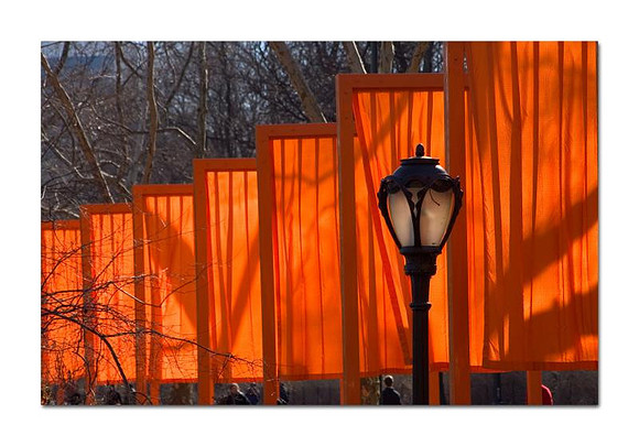 backlit with lampost