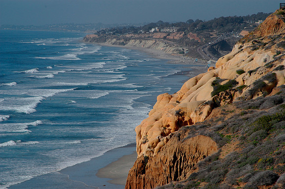 torrey 1.jpg