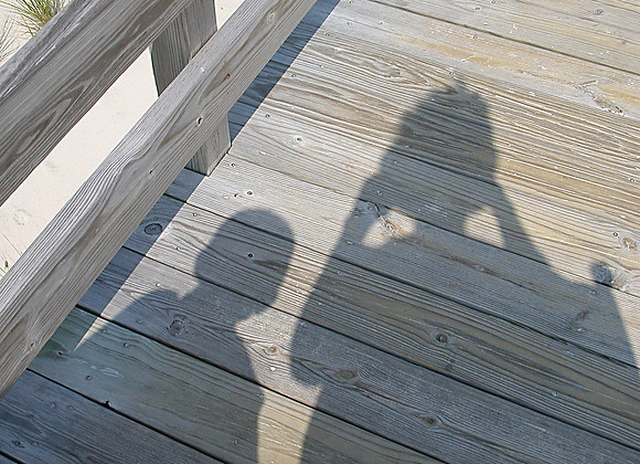 me and my shadow