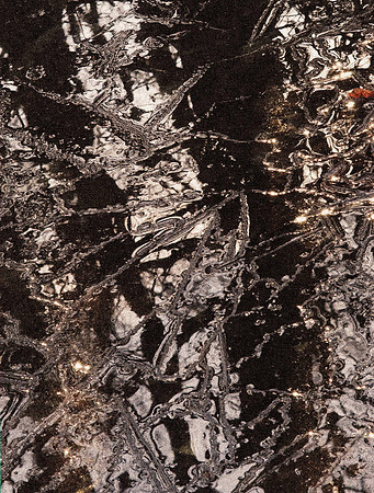 ice splintered trees