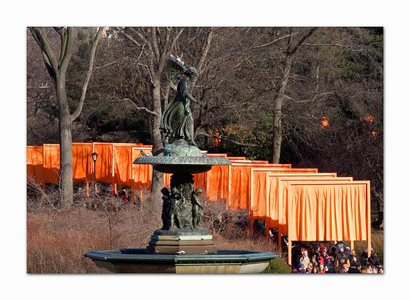 central park dressed in color