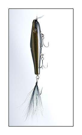 AED_2979lure.jpg
