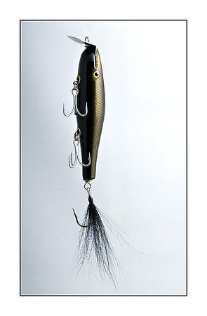 AED_2990lure.jpg