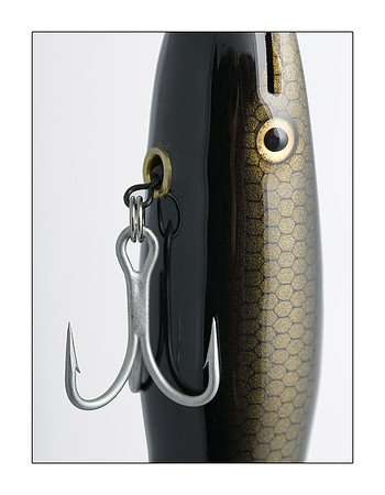 AED_2992lure.jpg