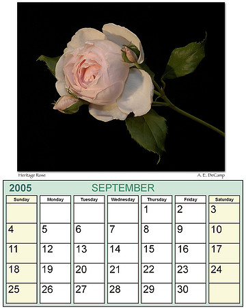 Sept-2005