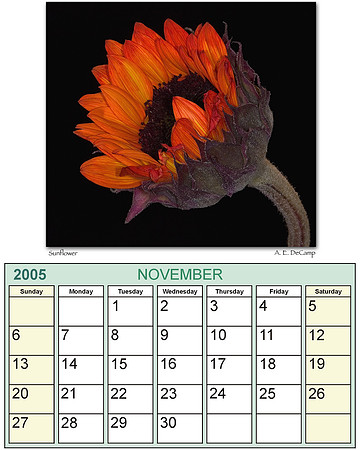 November