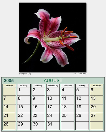 August