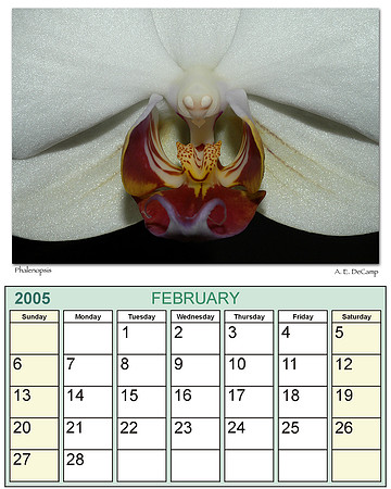 February