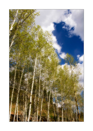AED_8286new-mexico-orton.jpg