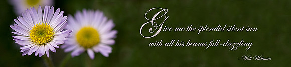 AD2_6934May_2.jpg
