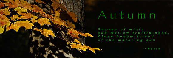 AD1_0445banner.jpg