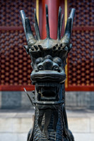 D7A_8916.jpg