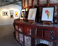 Ann DeCamp at SOMI Fine Art Gallery
