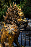 D7A_9070.jpg