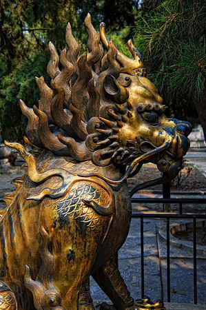 D7A_9070.jpg