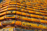 D7A_9050.jpg