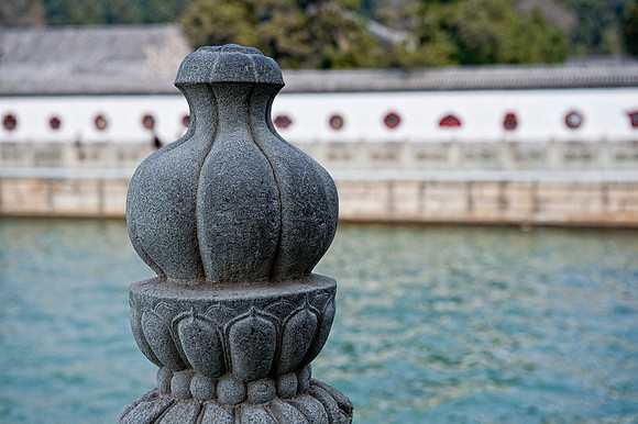 D7A_8923.jpg